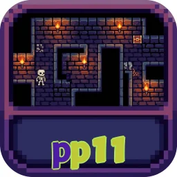 pp11